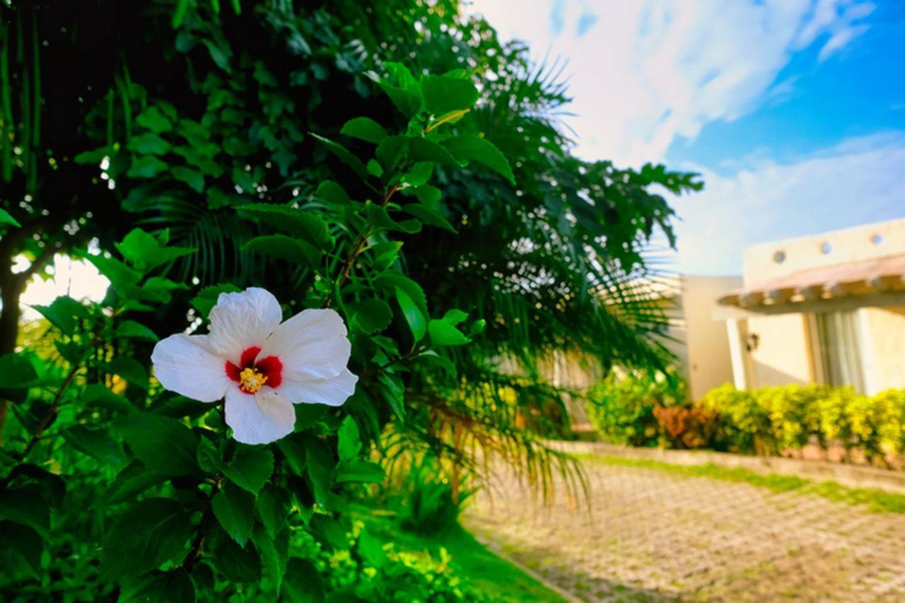 Hotel Soffia Yapak Buitenkant foto